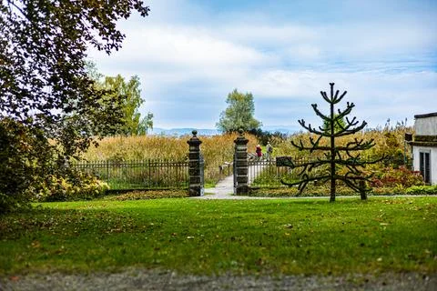 Path in the park between the trees during autumn Stock Photos