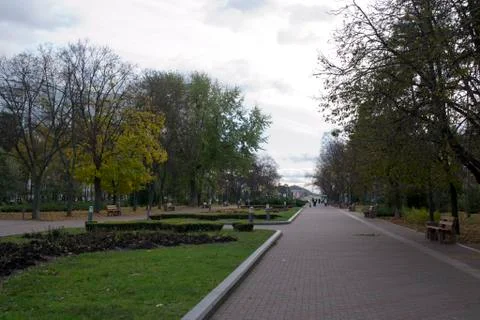 The path in the park of the city grows the trees fall off the leaves Stock Photos