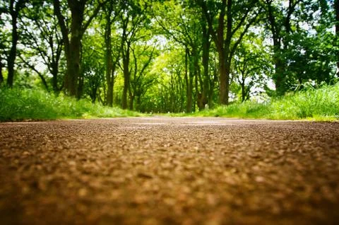 Path in the park. Close up of the ground. Stock Photos