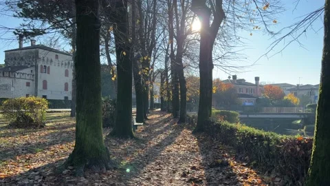Path in the park covered with autumn leaves Video stock 223888980