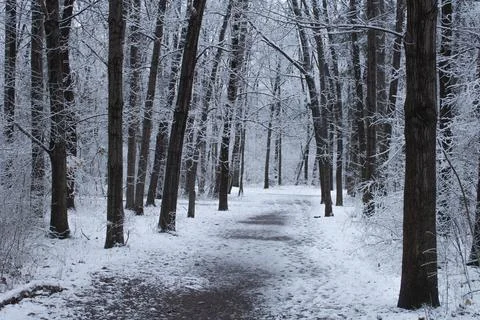 A path in the park covered with snow Stock Photos