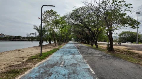 Path in the park with a dog Video stock 305985187