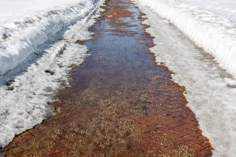 Path in the park in early spring Stock Photos