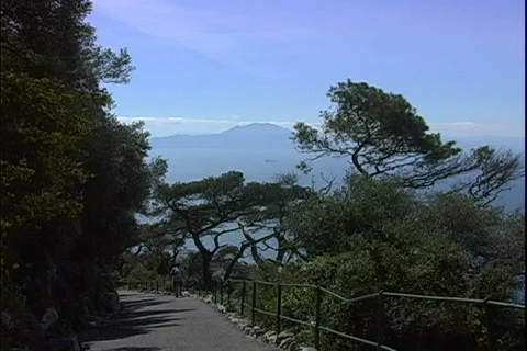 Path in the Park Stock-Footage 819505