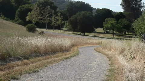 Path in a park Stock Footage 5317233