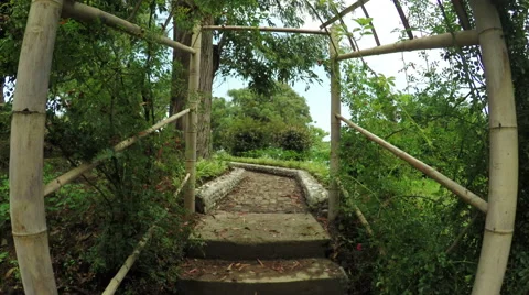 Path Park 動画素材 55197732