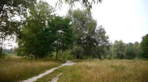 Path In The Park Stock Footage 66063759