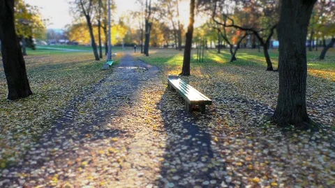 A path in a park Video stock 130139349