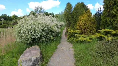 Path in the park Stock Footage 149318254