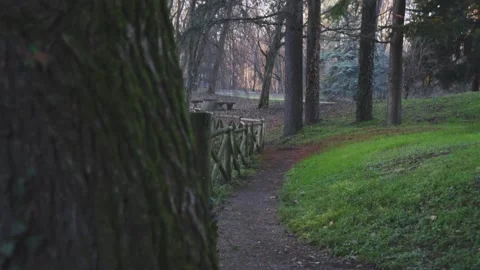 Path in the park 動画素材 166864108