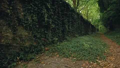 A path in the park Stock Footage 173560425