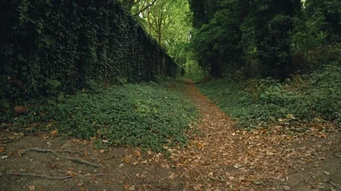 A path in the park Stock Footage 173560426