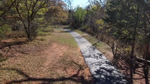 Path in Park Video stock 221449819