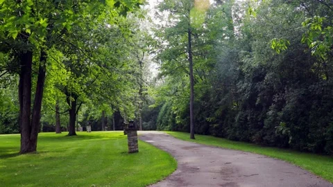Path in the park Stock Footage 229898909