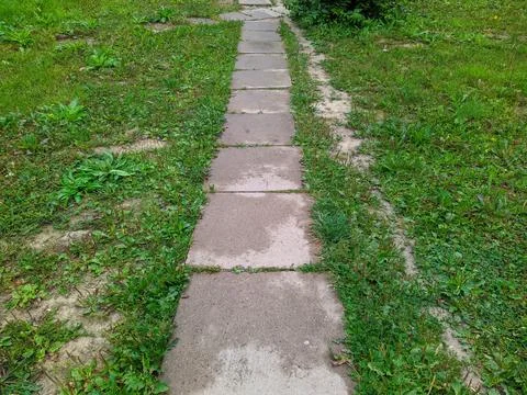 Path in the park is made of concrete square slabs. Stock Photos