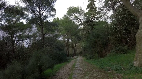 Path on the park Marjan, Split, Croatia Stock Footage 104959199