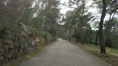 Path on the park Marjan, Split, Croatia Stock Footage 104959388