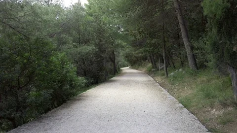 Path on the park Marjan, Split, Croatia Stock Footage 104960407