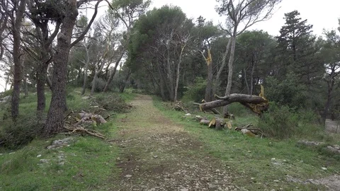 Path on the park Marjan, Split, Croatia Stock Footage 104960490