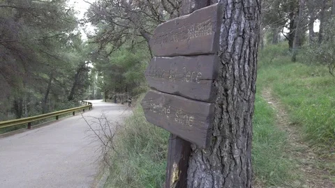 Path on the park Marjan, Split, Croatia Stock Footage 104960494