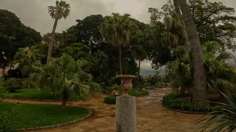 Path in the park at Palermo Stock Footage 219589666