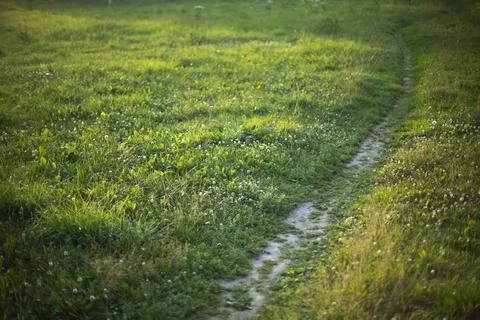 Path in park. Path across field. Green lawn. Stock Photos