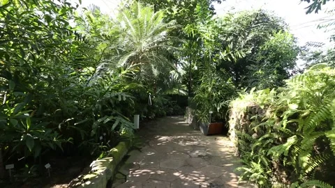 Path in the park, path in the garden	 Stock-Footage 306040366