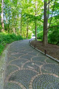 The path in the park is paved with a beautiful pattern running between green  Foto stock