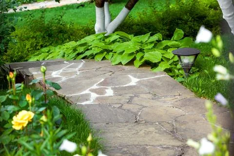 A path in the park is paved with decorative stone around a flower bed. Stock Photos