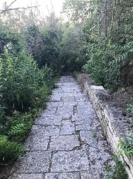 The path in the park is paved with stone. Decorative trail or road Foto stock