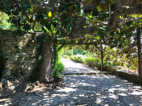 The path in the park is paved with stone. Decorative trail or road in the gar Foto stock