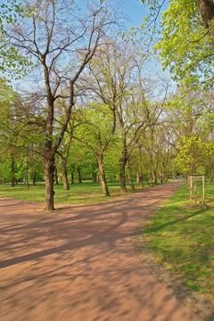 Path in the park Stock Photos