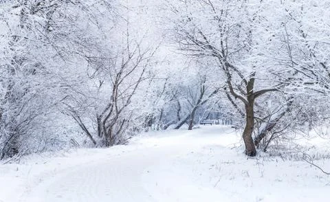 The path in a park Stock Photos