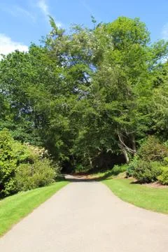 Path in a park Stock Photos