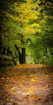 Path in park Stock Photos