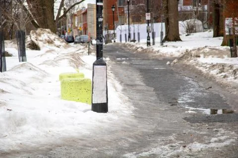 Path in a Park Stock Photos