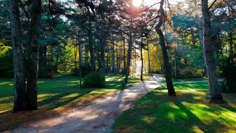 Path in the park Stockfoto's