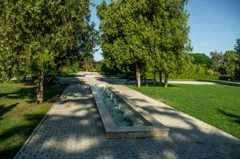 Path in the park Stock-Fotos