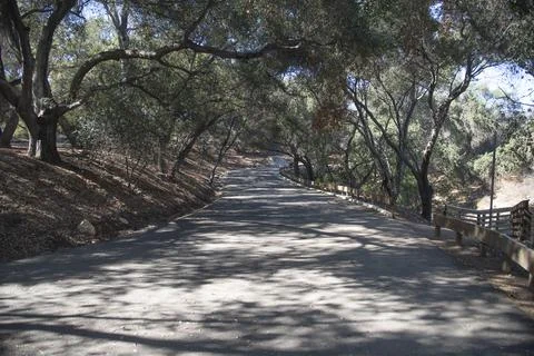 Path in park Stock Photos