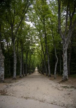 Path in the park Stock Photos