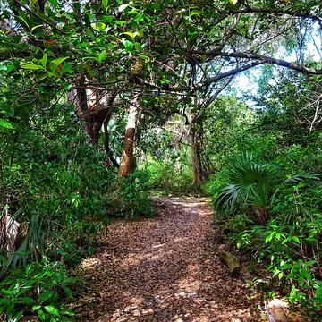Path in a park Stock Photos