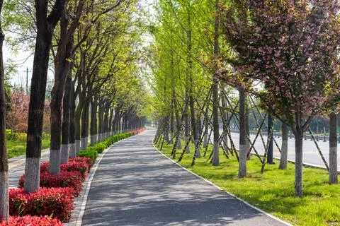 Path in the park Stock Photos