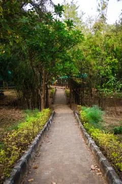 Path in the park Stock Photos