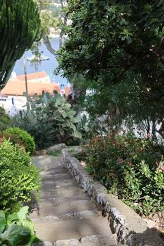 Path in the park Stock Photos