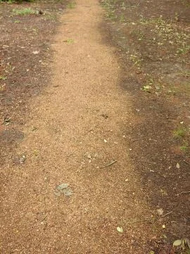 Path in the park Stock Photos