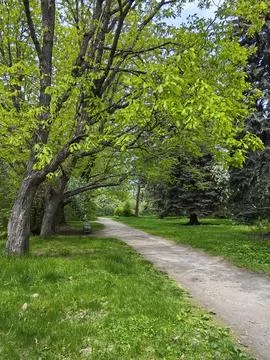 Path in the park Stock Photos