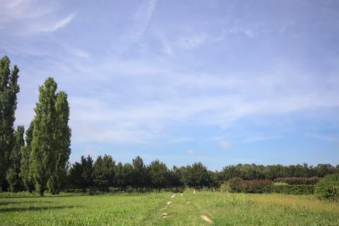 Path in a park Stock Photos
