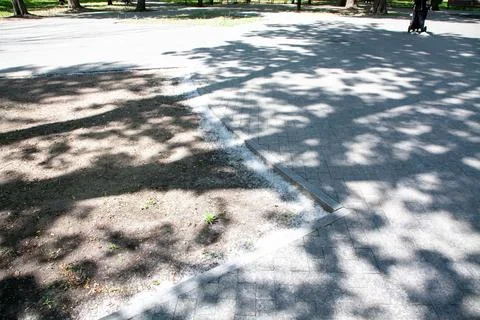 The path in the park shows a clear line where dirt meets the paved area. Tree 스톡 사진