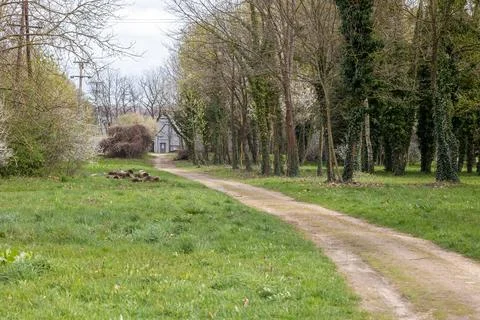 Path in the park in spring. Landscape with trees and grass Stock Photos