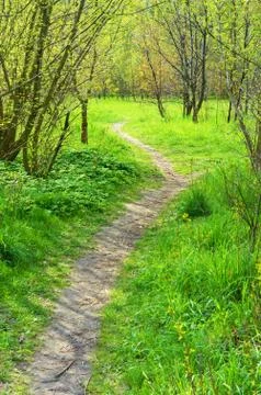 Path in park in spring Stock Photos
